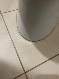 Water around toilet leaking I guess