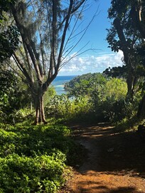 Wyllie beach just a 5 minute walk