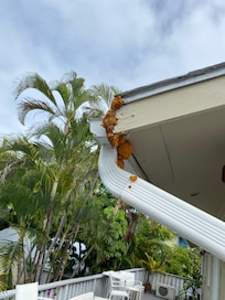 How NOT to fix a leak. Foam insulation?