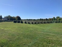 View from the patio