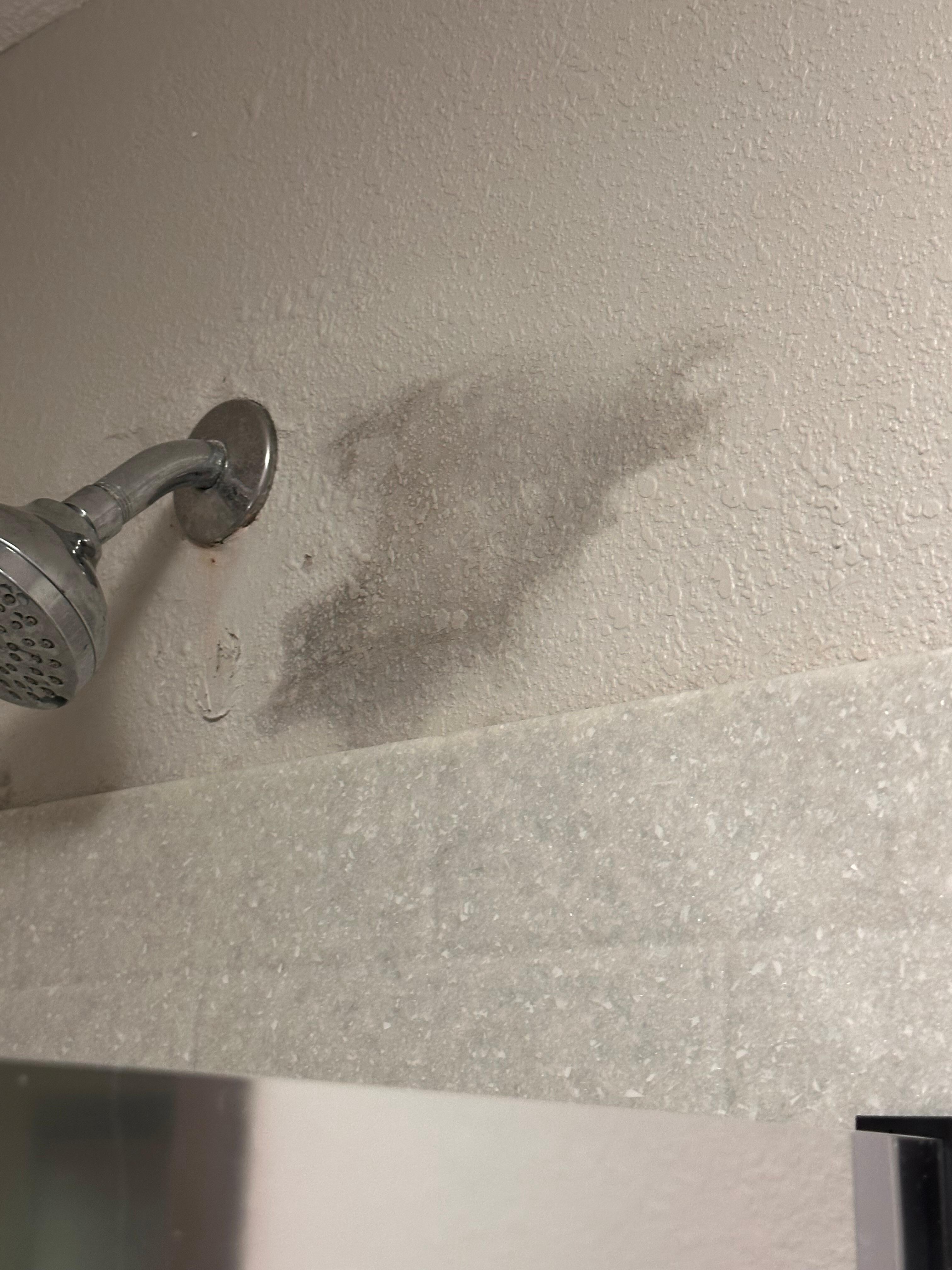 Appeared to be mold on wall