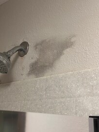 Appeared to be mold on wall
