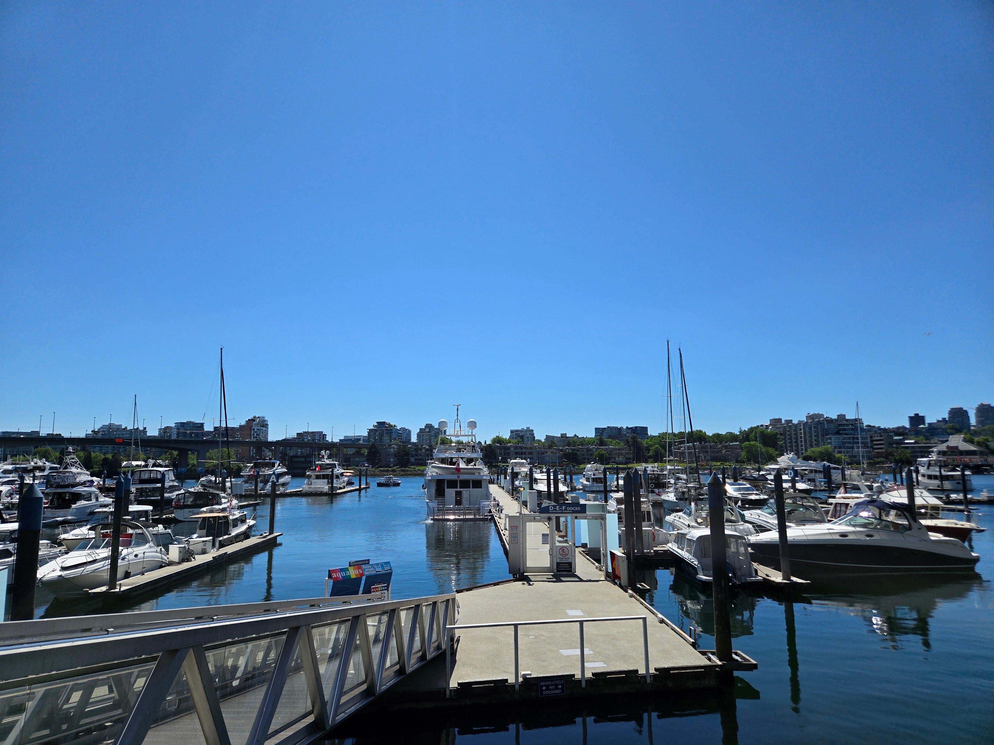 The marina