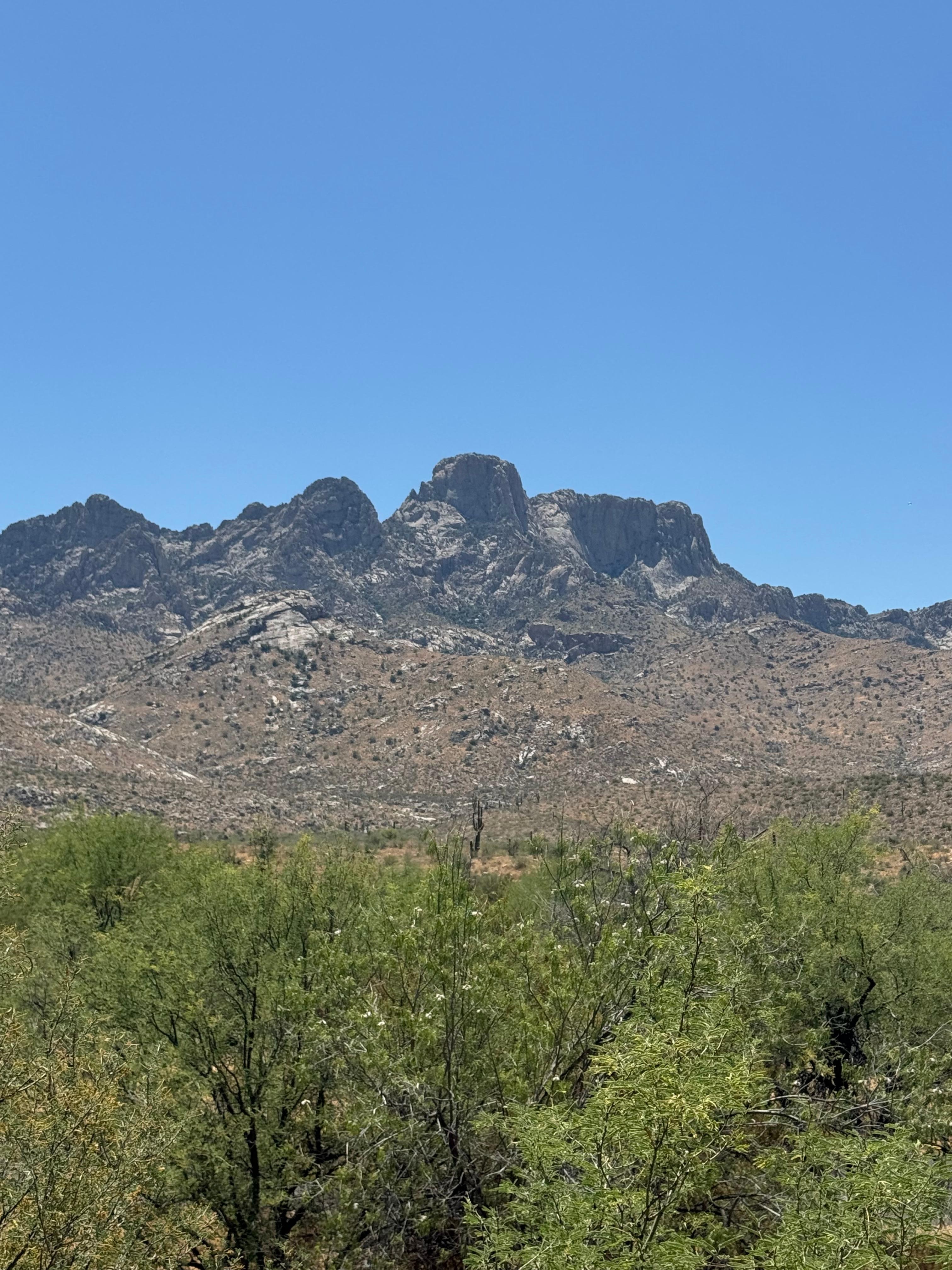 Picture from Catalina State Park