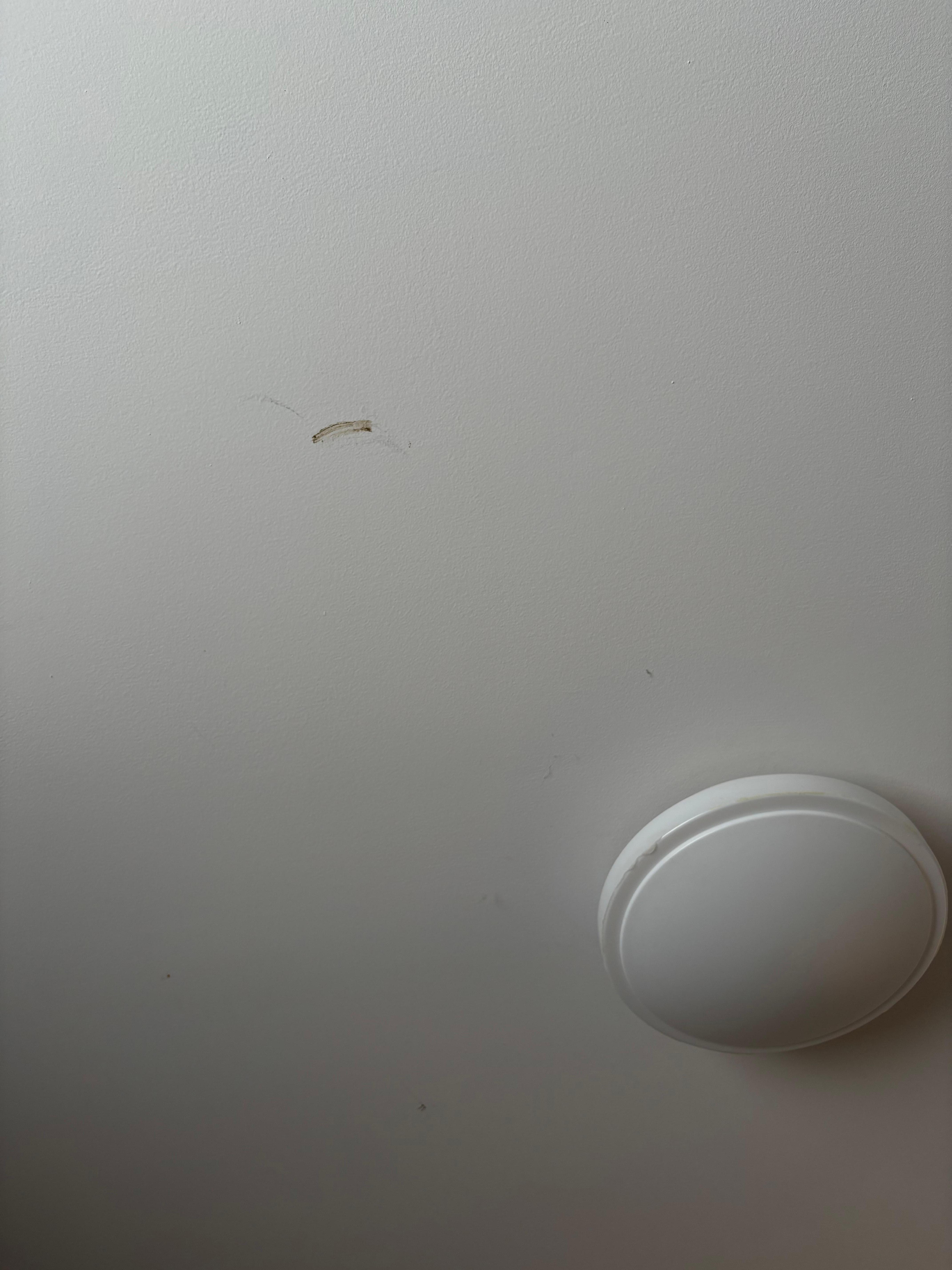 Unknown stain on ceiling in the second room