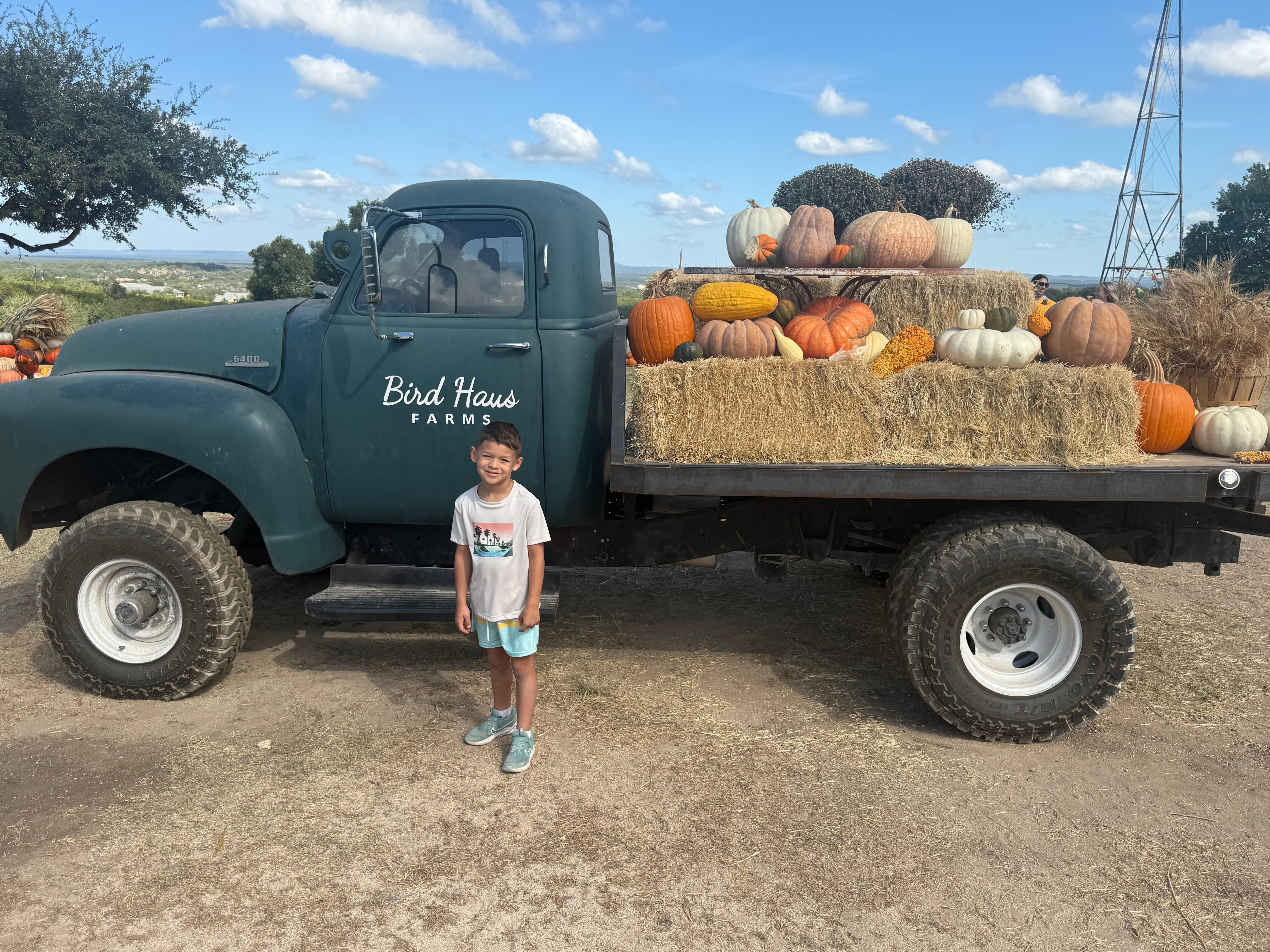 My son at the pumpkin patch on the property. 