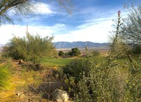 View from the patio.