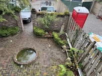 View off back porch