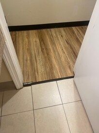 Flooring was vinyl and tile, typical for pet friendly rooms