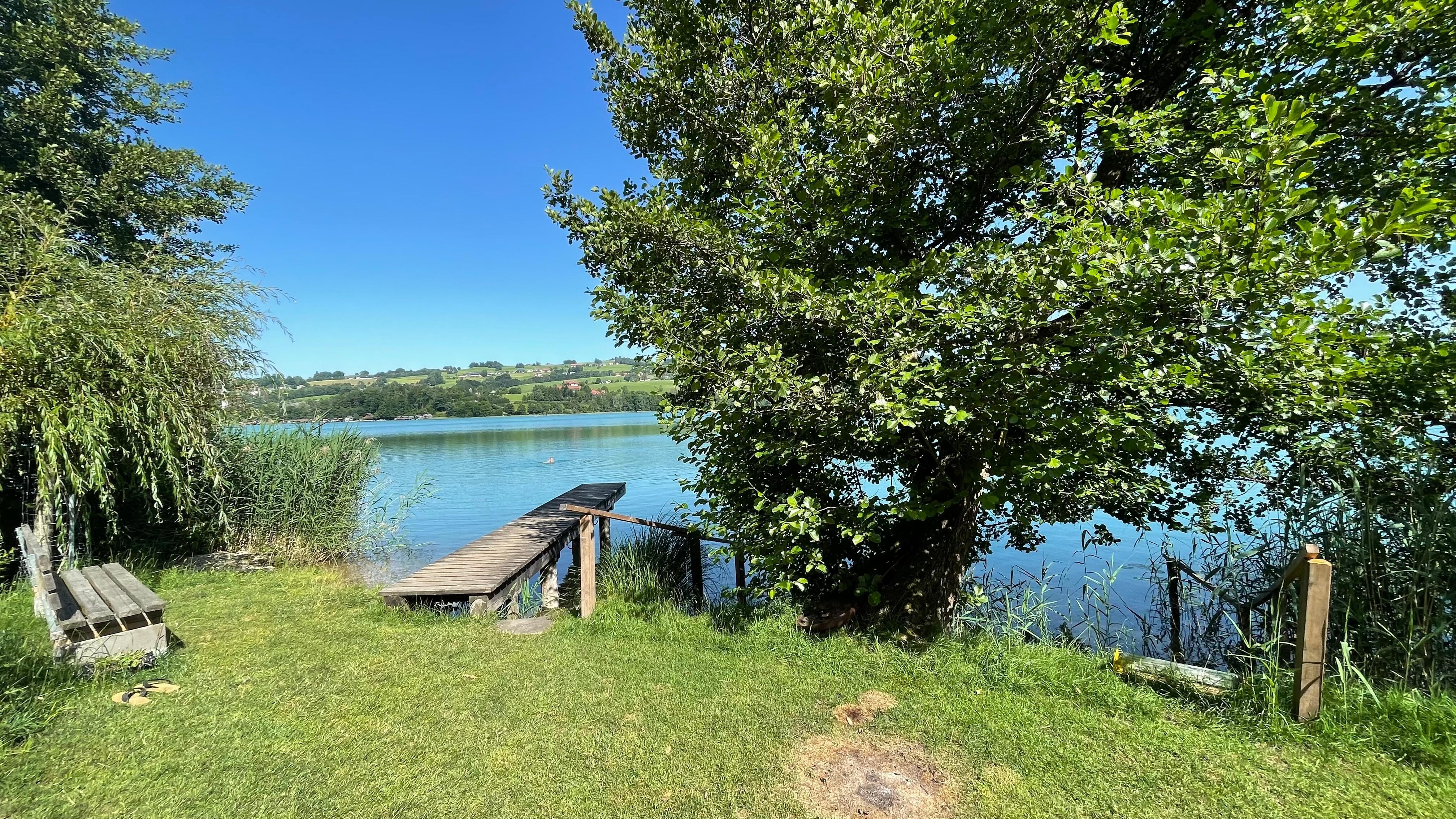 Einstieg in den See