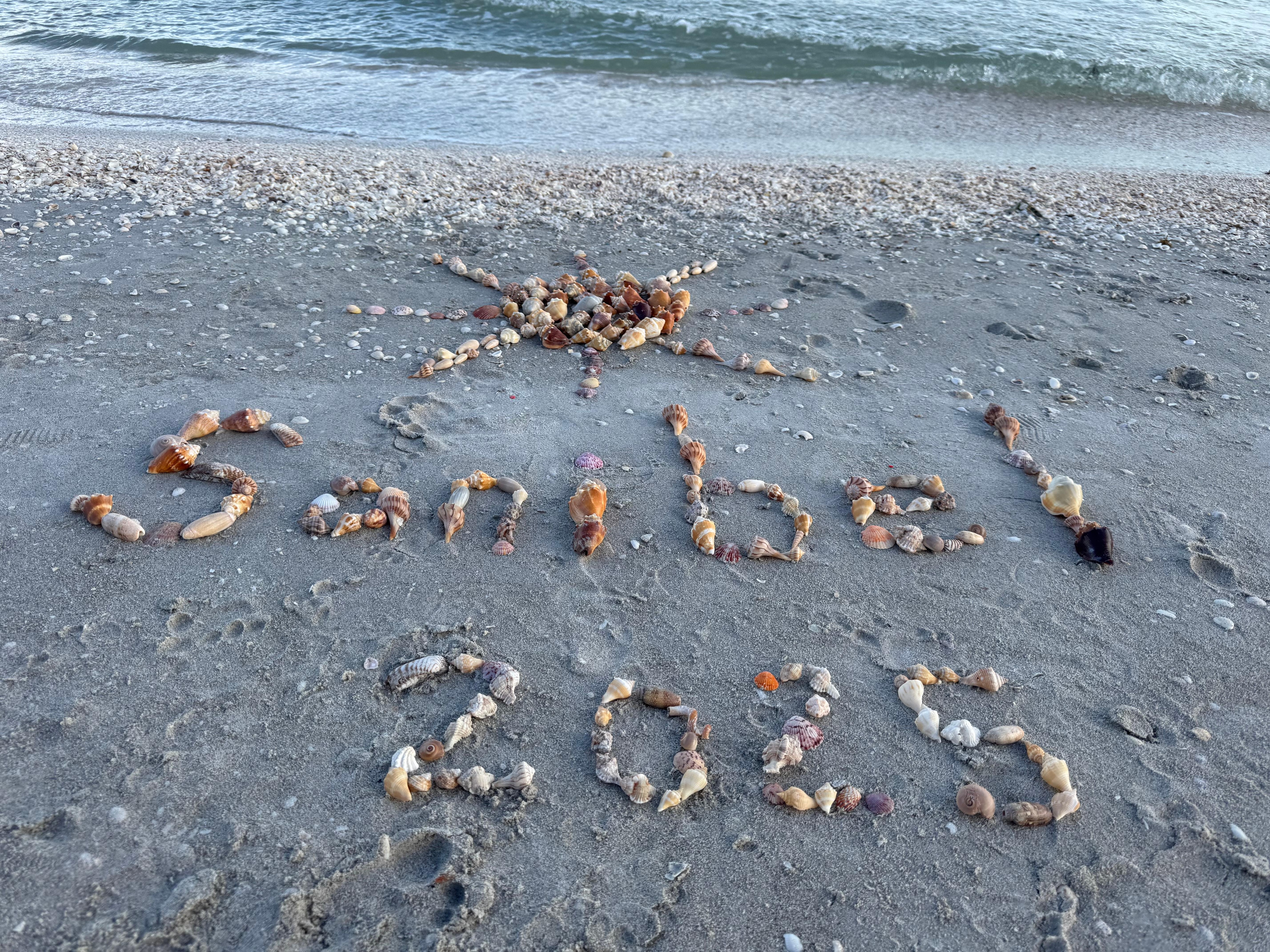 Not even half of the shells we found on our 3 days 