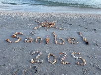 Not even half of the shells we found on our 3 days