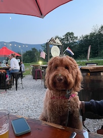 Let’s eat - they even made me a special burger on request