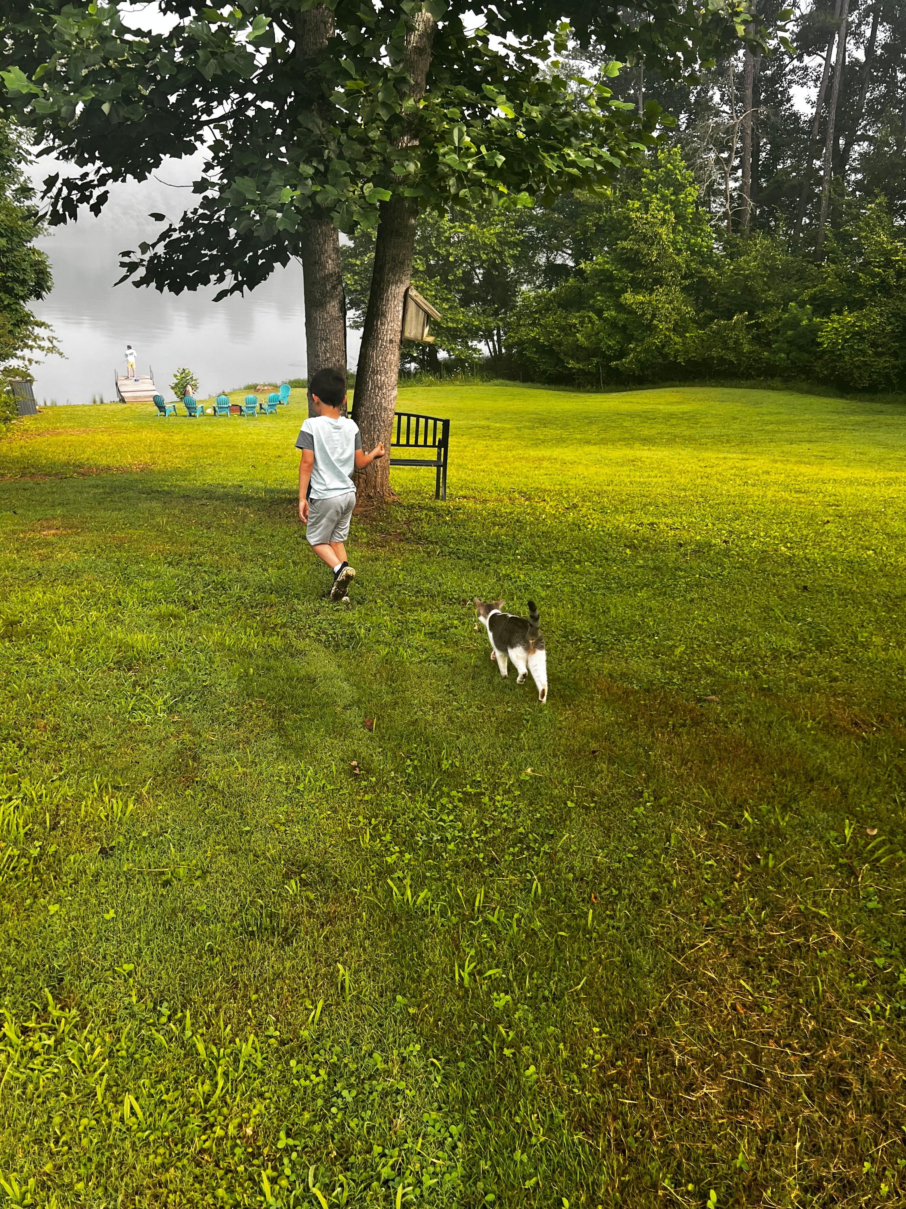 Making friends with the neighborhood kitty 