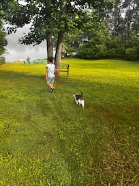 Making friends with the neighborhood kitty