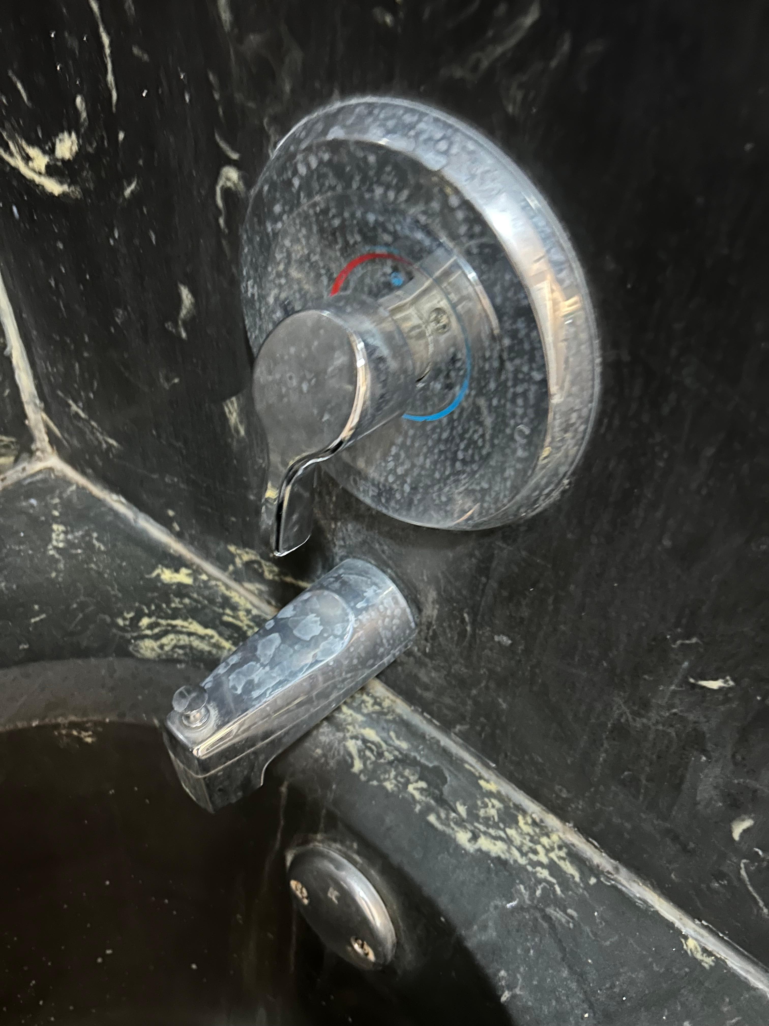 We needed to clean the bathrooms 