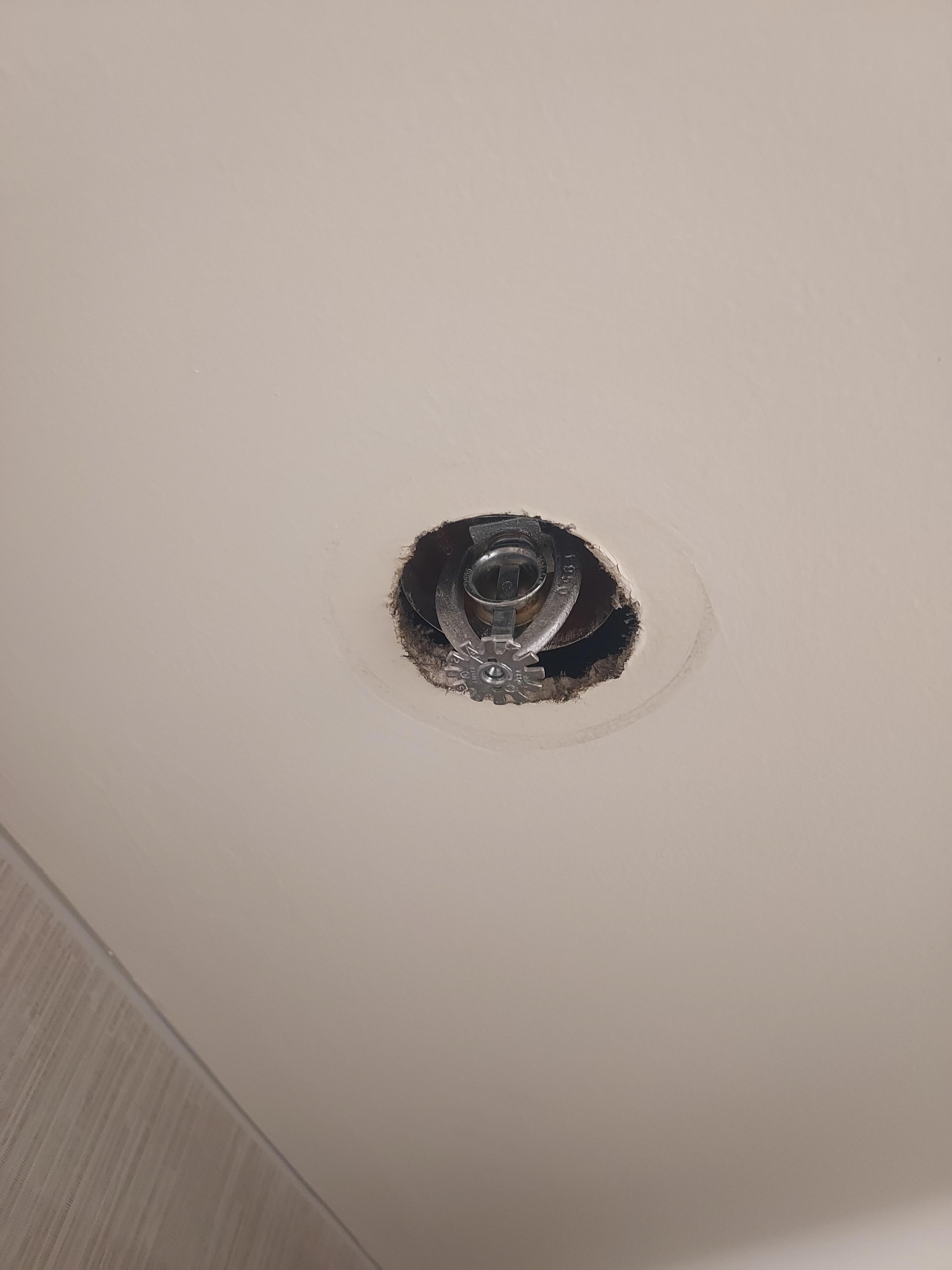 In the bathroom ceiling 