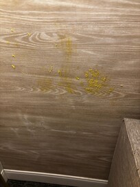 Dirty wall in our room