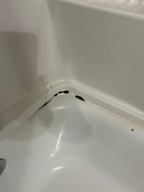 The molding in the shower needs to be addressed-either mildew or mold