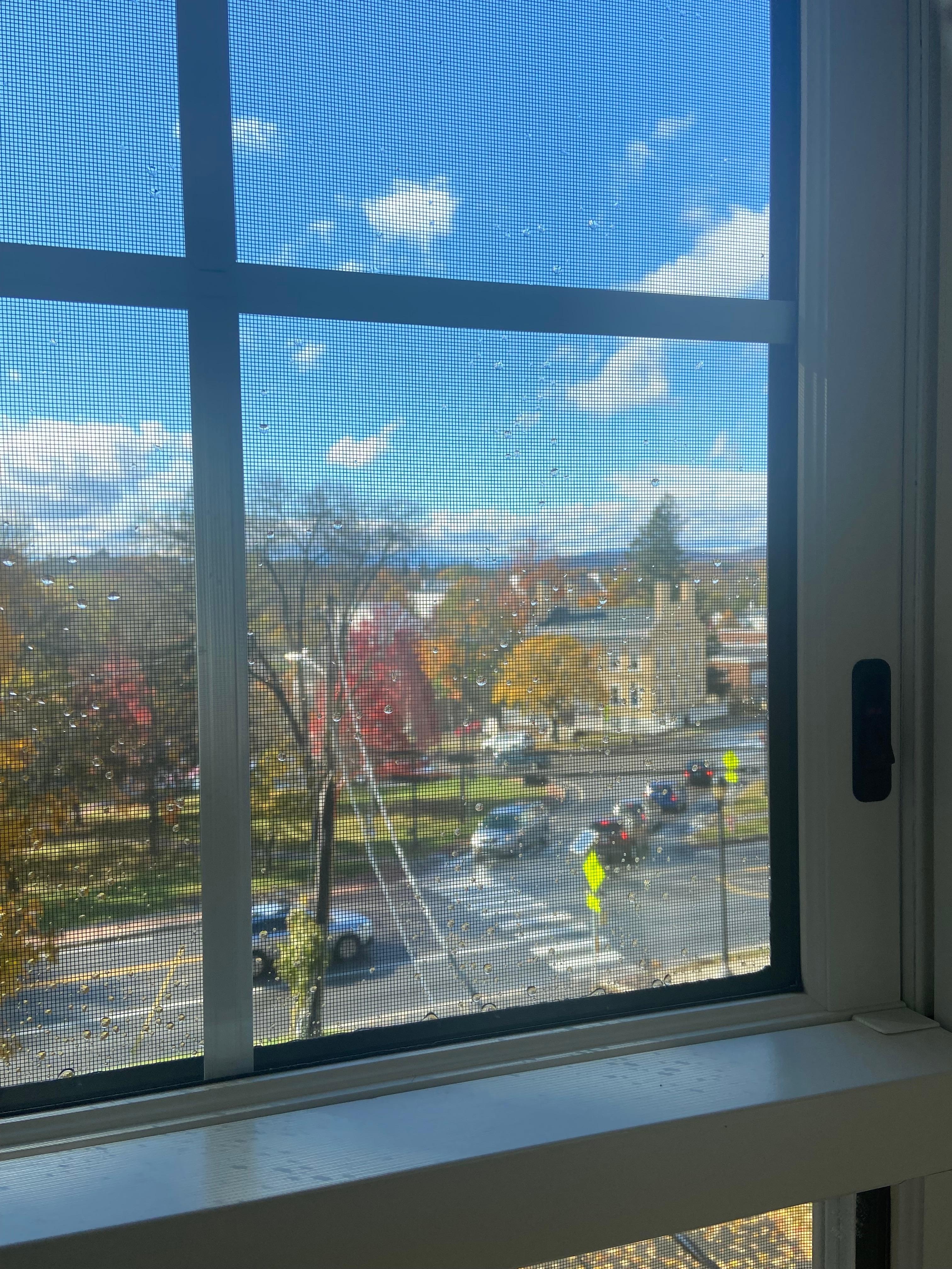 View from our window 