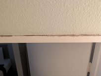 Possible mold on bathroom door frame