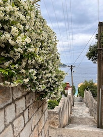 View form the front door down to the sea
