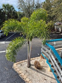 A bit of the parking area and stairs.