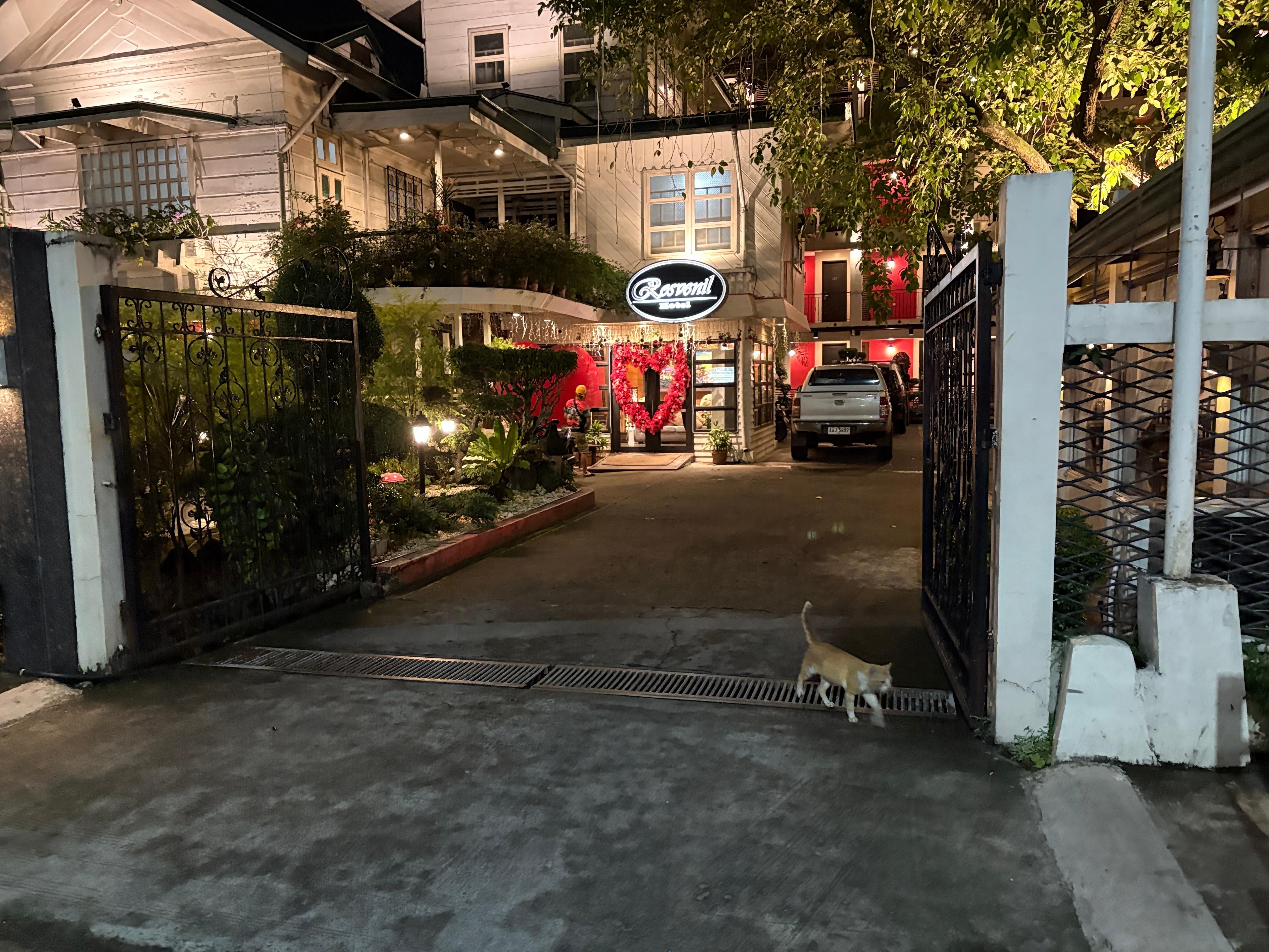 When cats are comfortable around the humans, you know it’s a relatively safe area