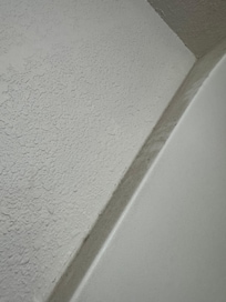 Dust on the shower rail on the other side