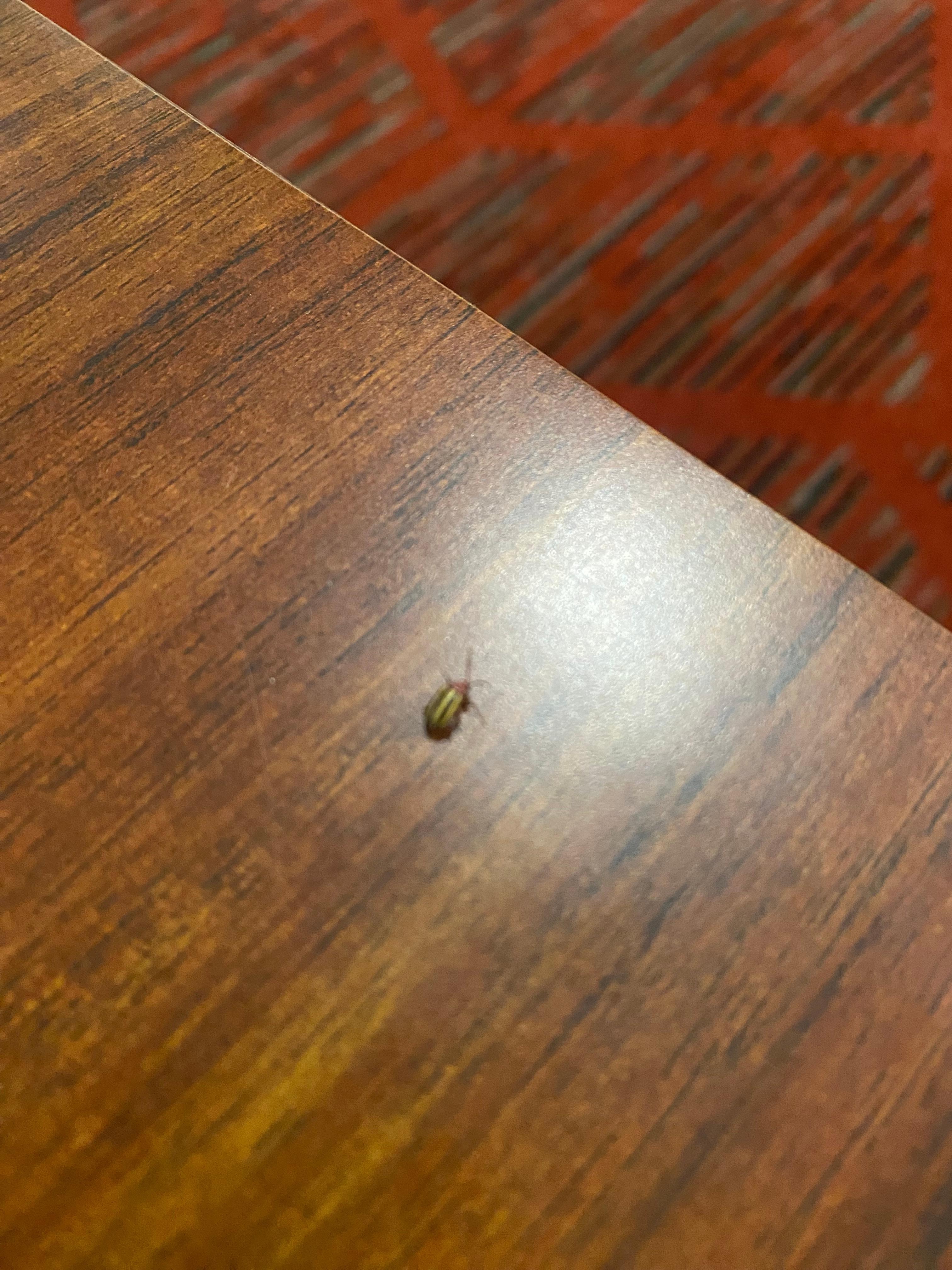 Found two bugs during the stay .