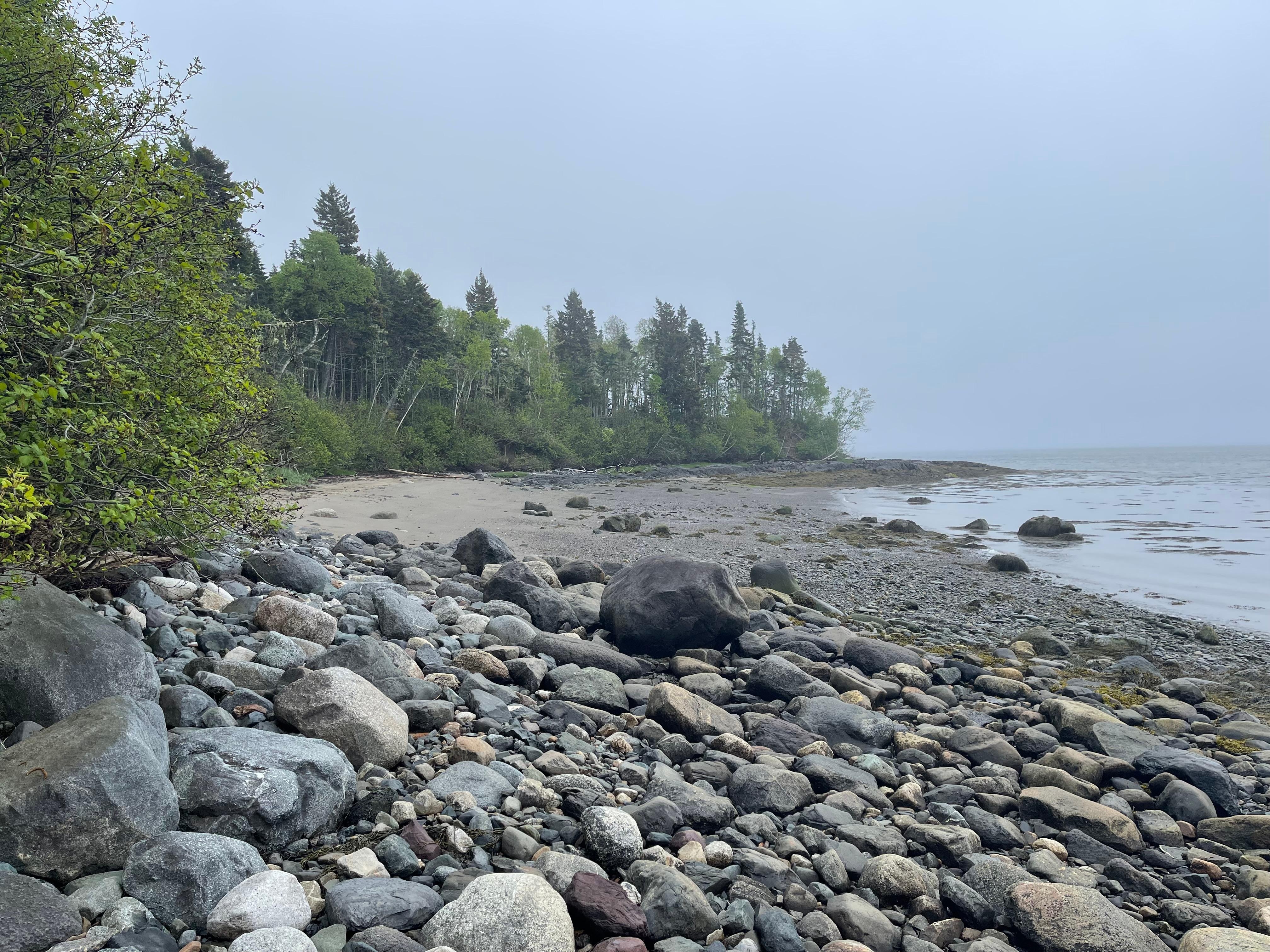 Foggy, tranquil view of beach