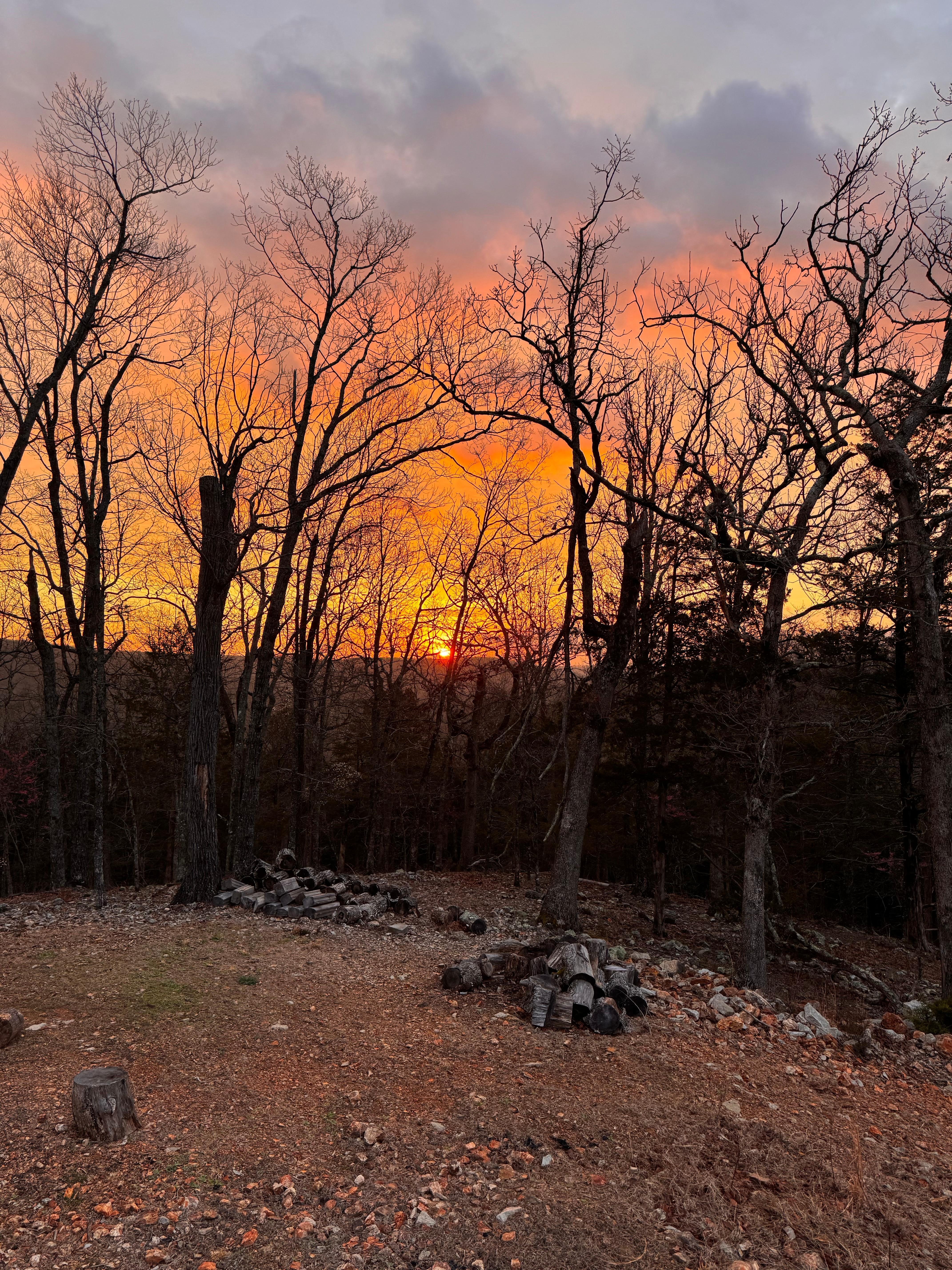Sunrise from the side yard