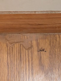 Who knows what on floor by toilet