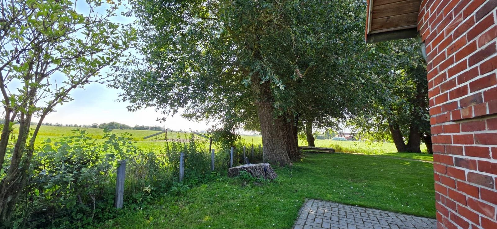 wunderschöne, große,  alte Bäume auf dem Grundstück,  umgeben von Feldern. 