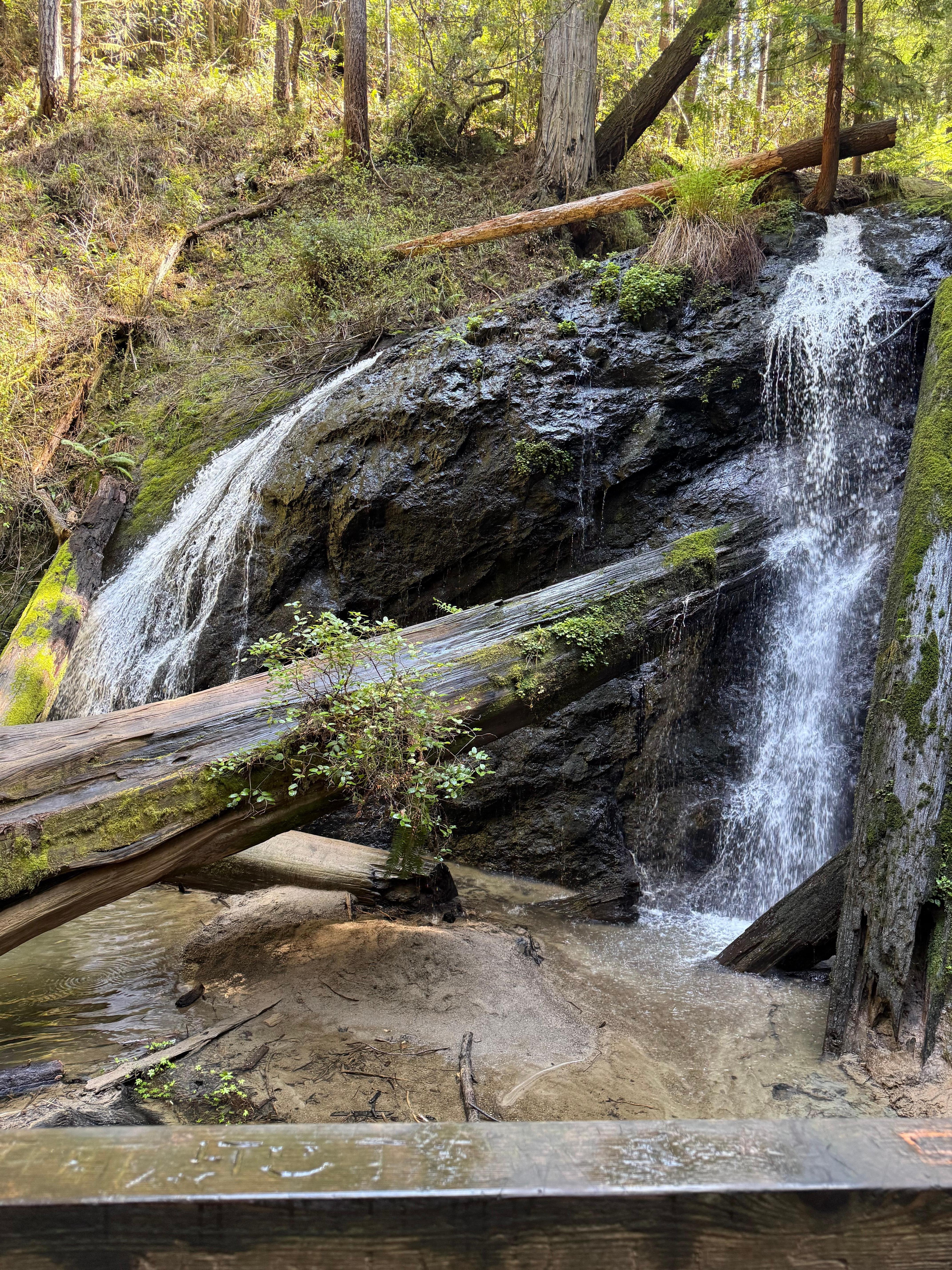 Russian Gulch State Park