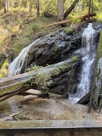 Russian Gulch State Park