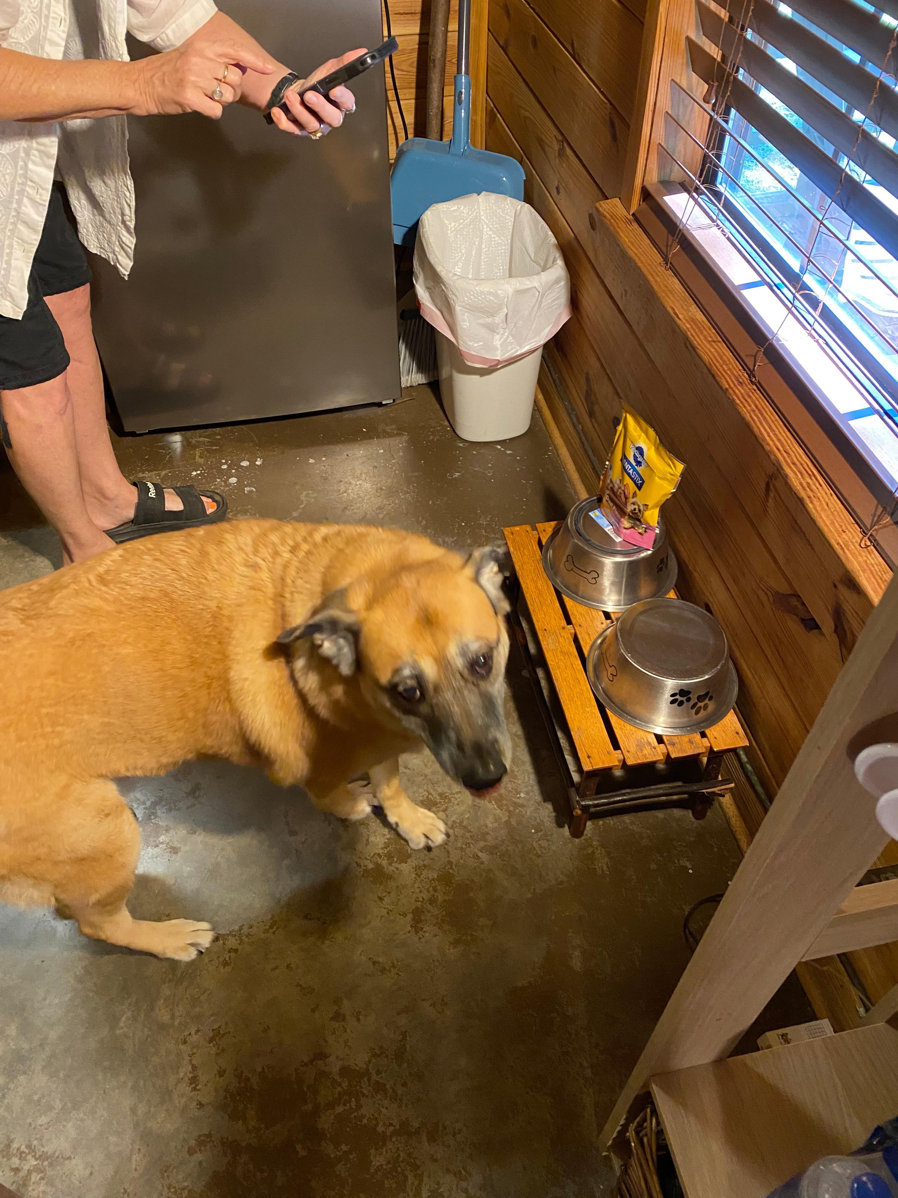 Our dog had a present!!