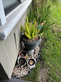 Front planter