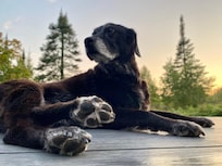 Perfect positioning to catch the sunset.