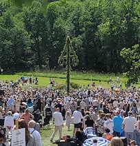 The Midsummer Festival, raising of the May Pole
