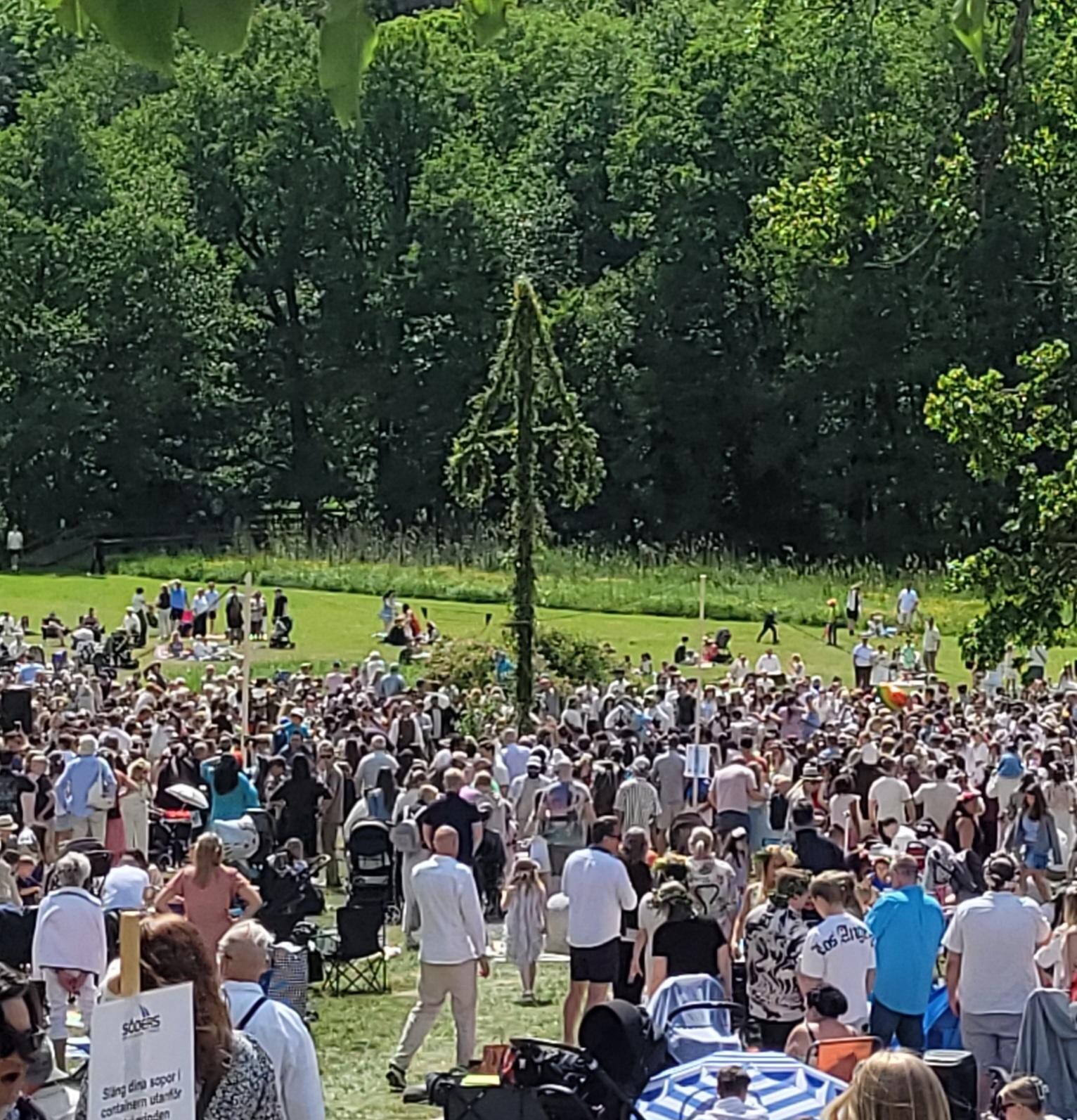 The Midsummer Festival, raising of the May Pole