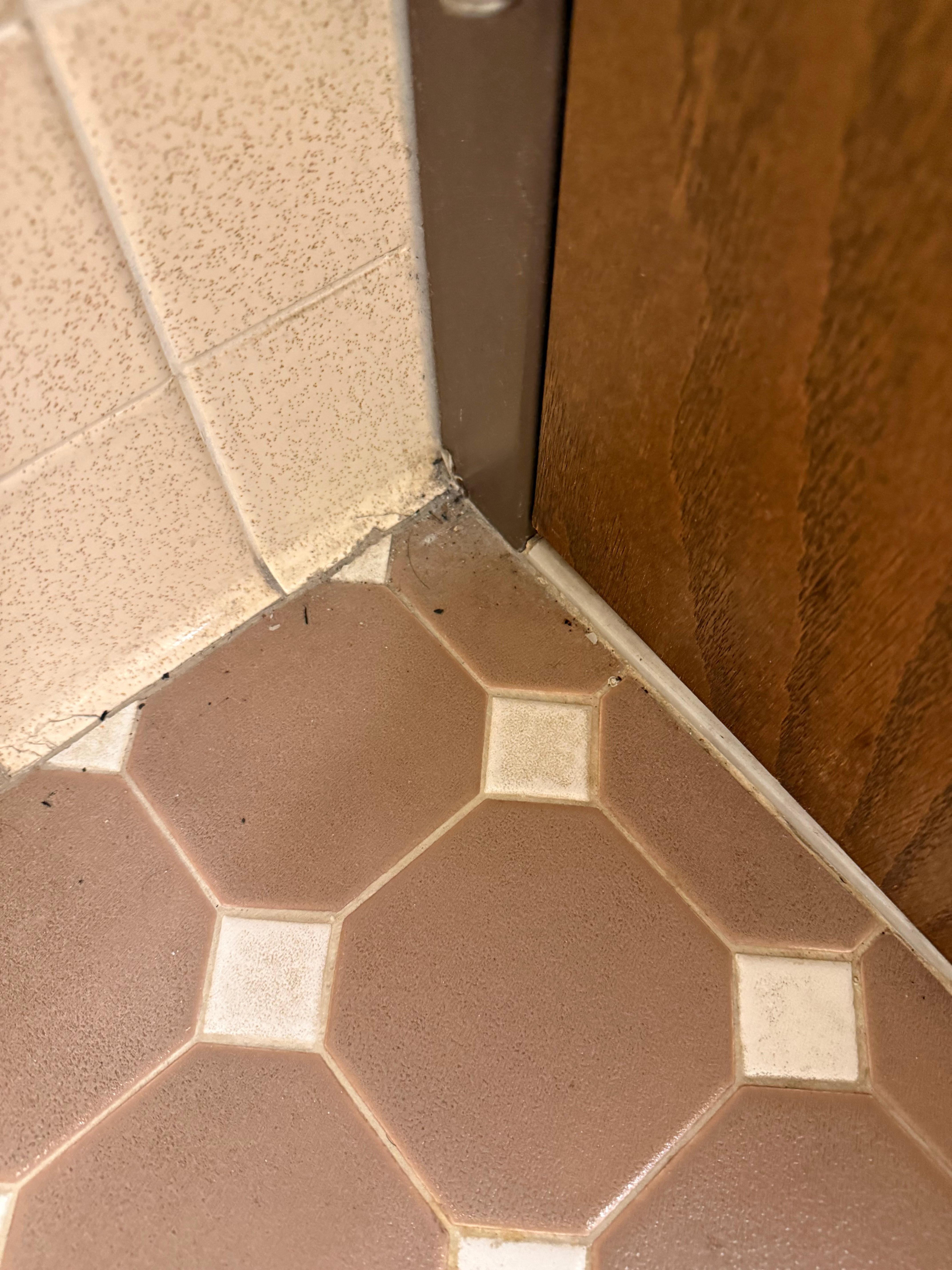 Dirty floors. This was how the whole room was. 