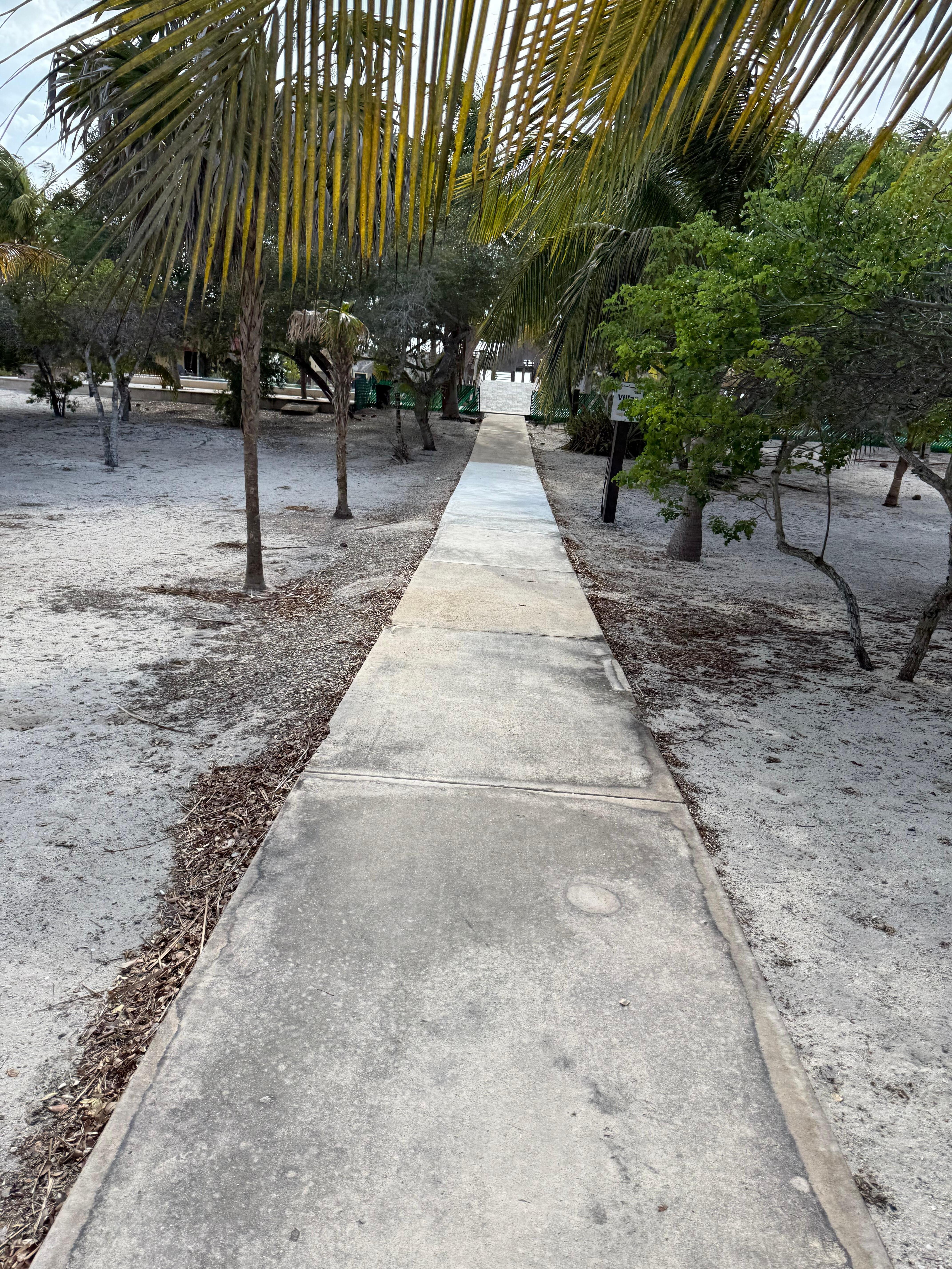View of the pathway to the property