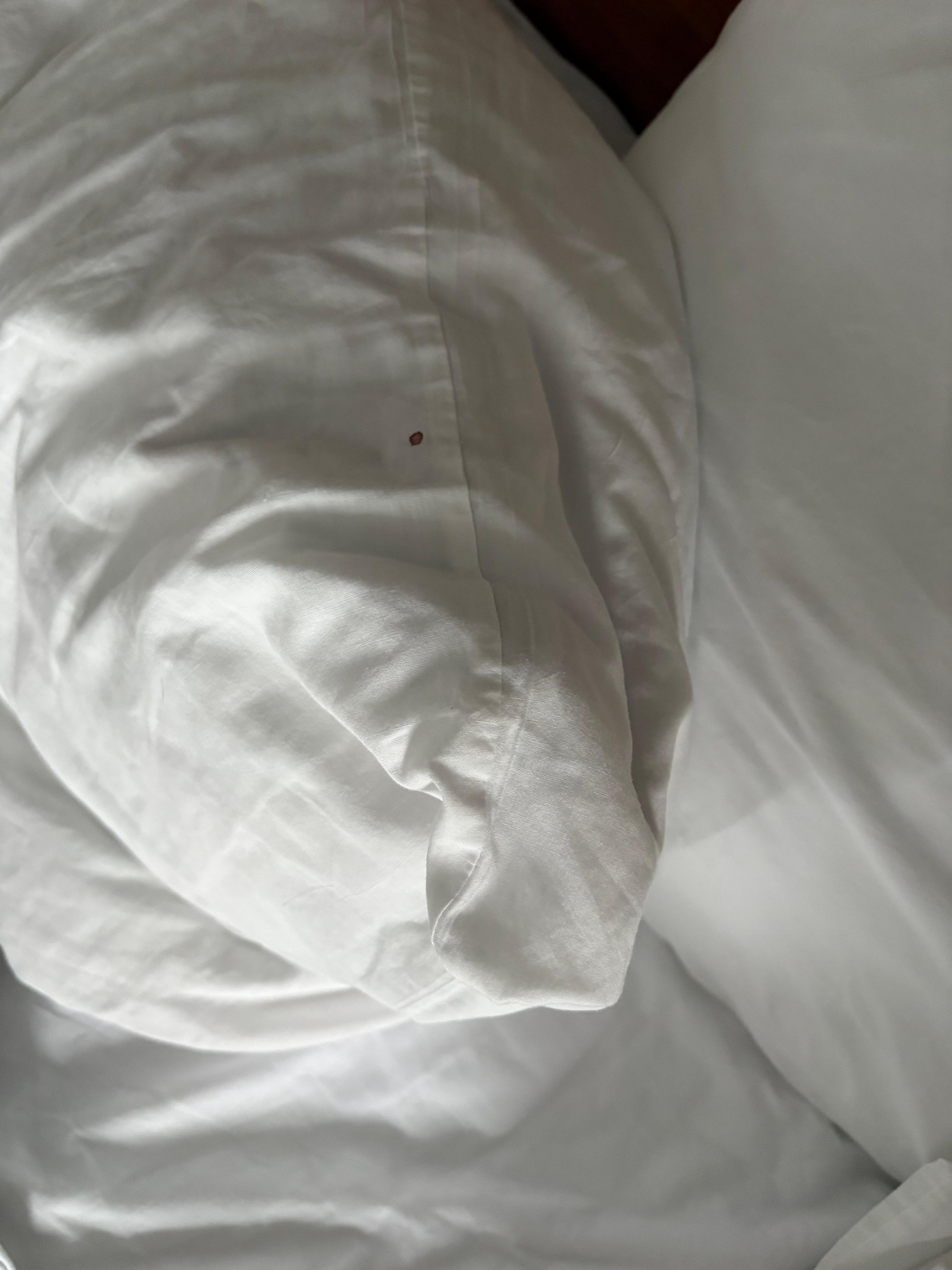 Blood spot on pillowcase