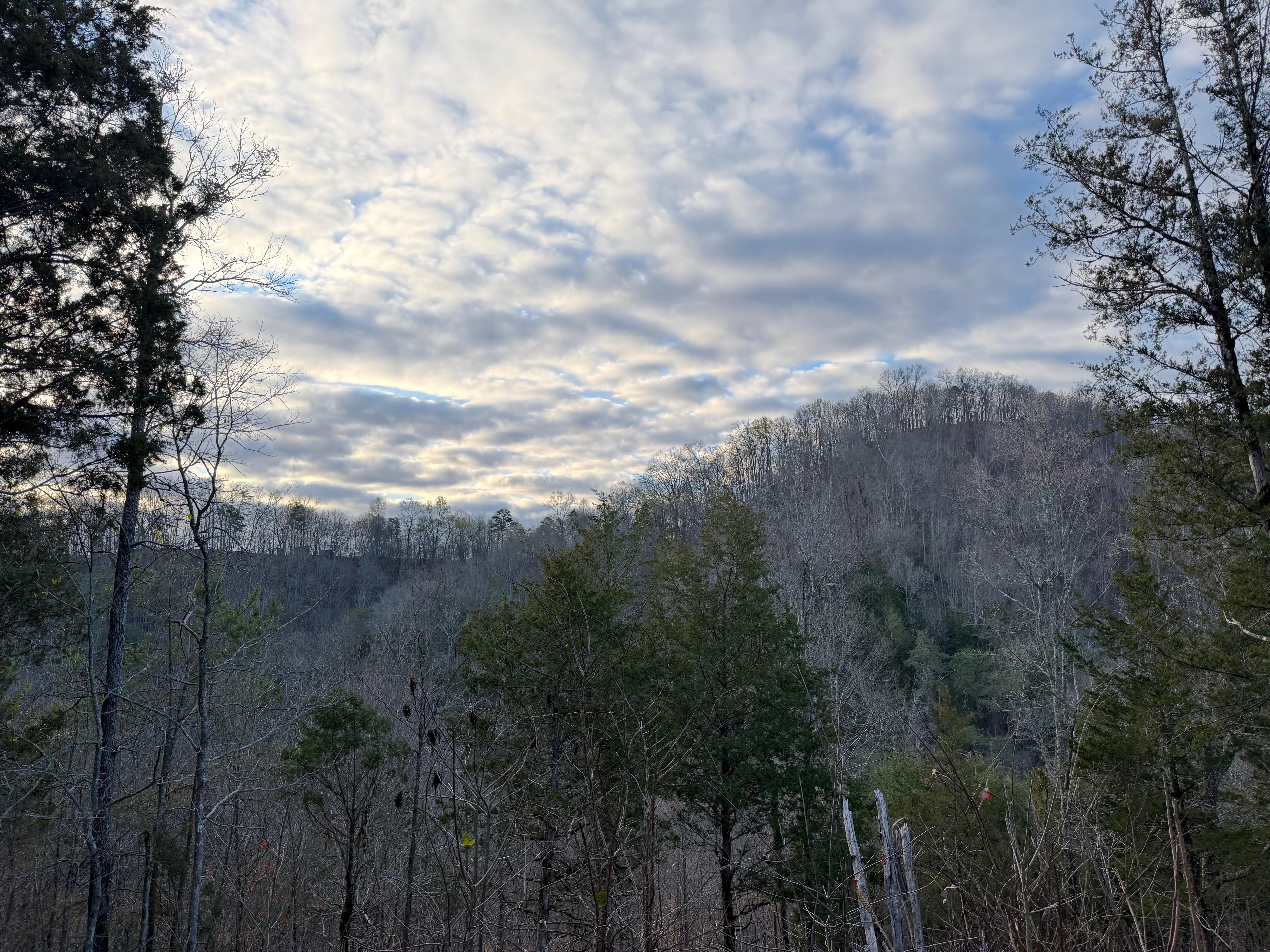 Morning view on trail