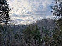Morning view on trail