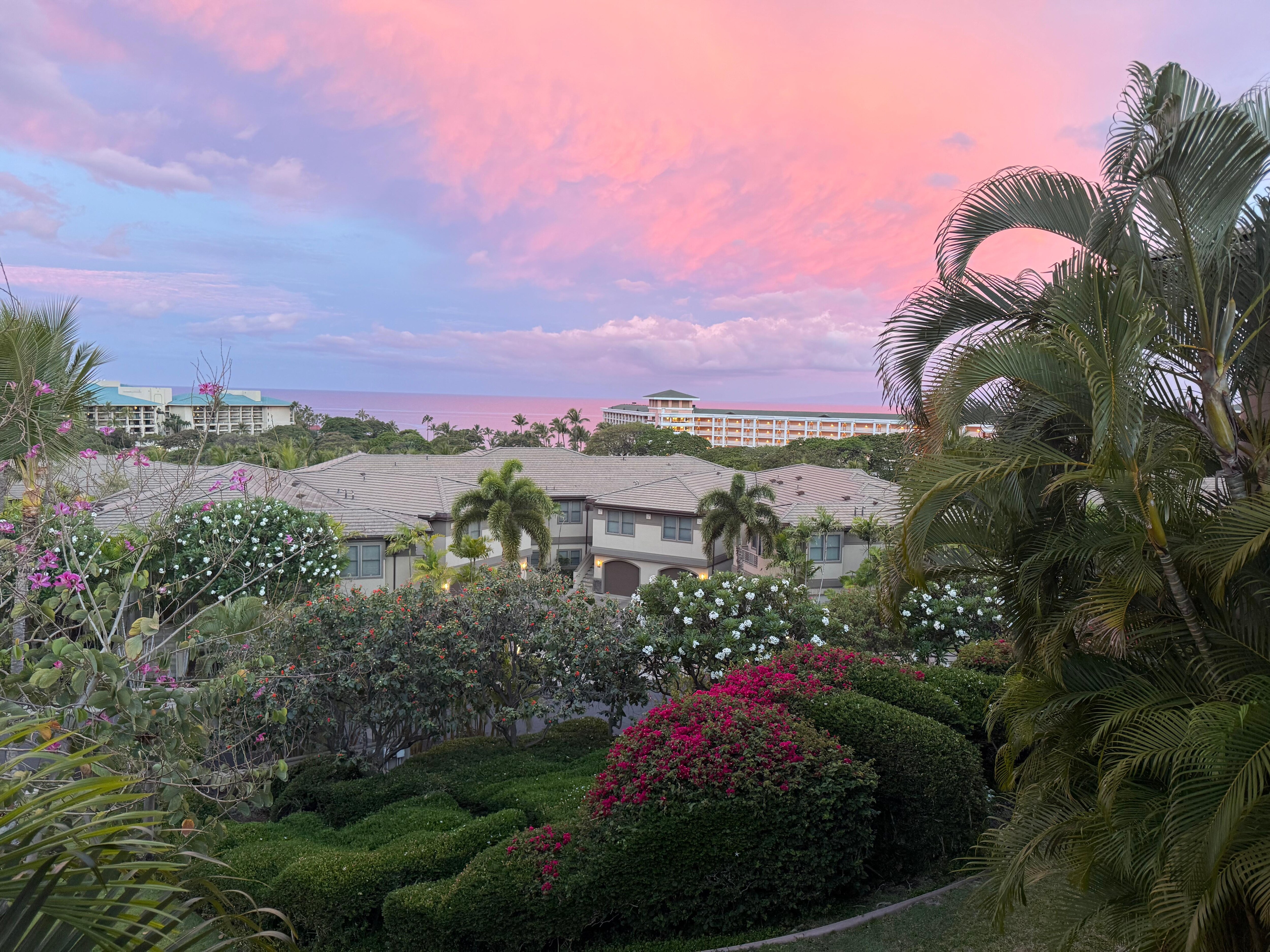 Coffee on the veranda every morning to this view!