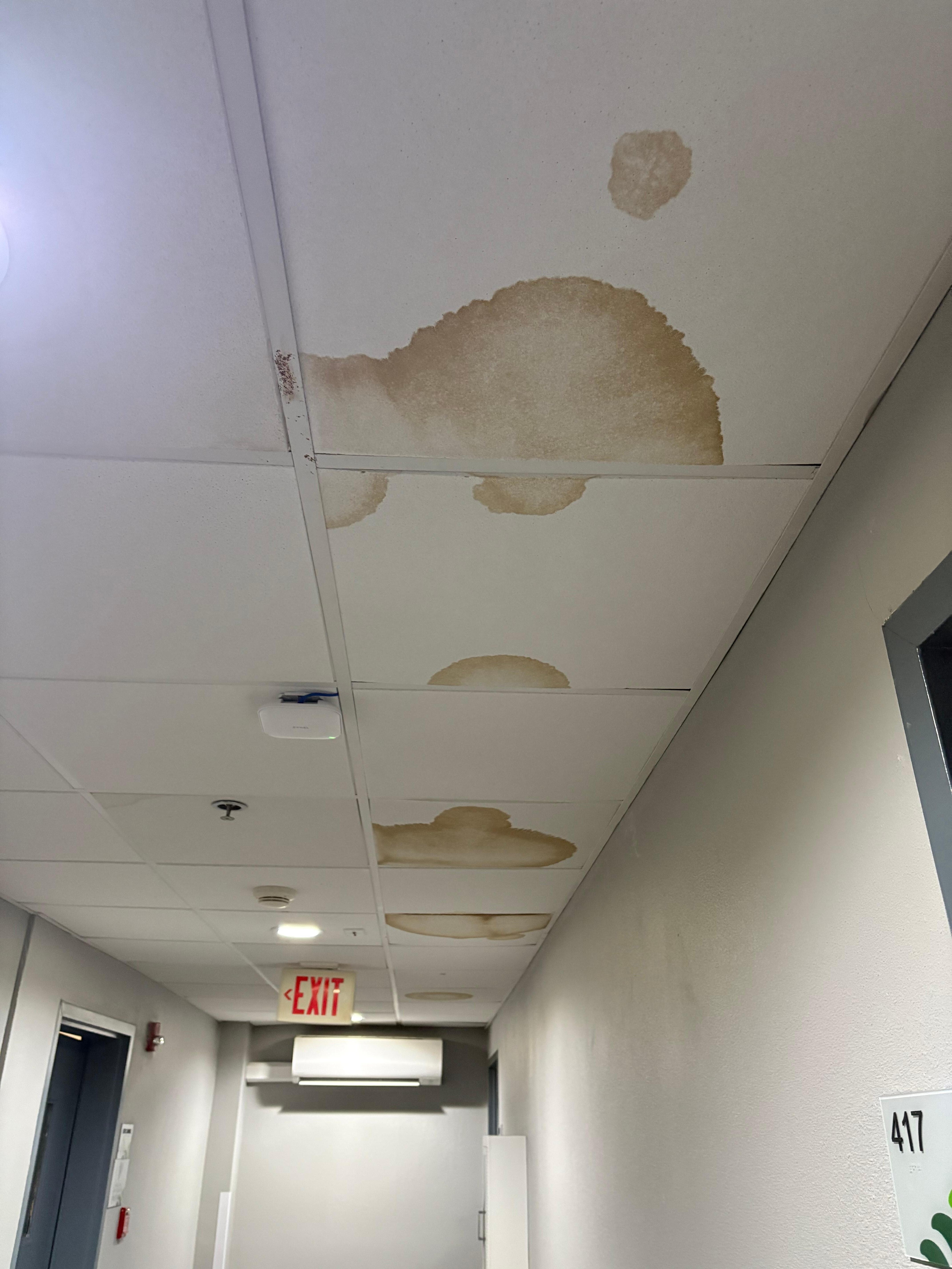 Stains in 4th floor hallway 