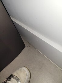 More bed bugs