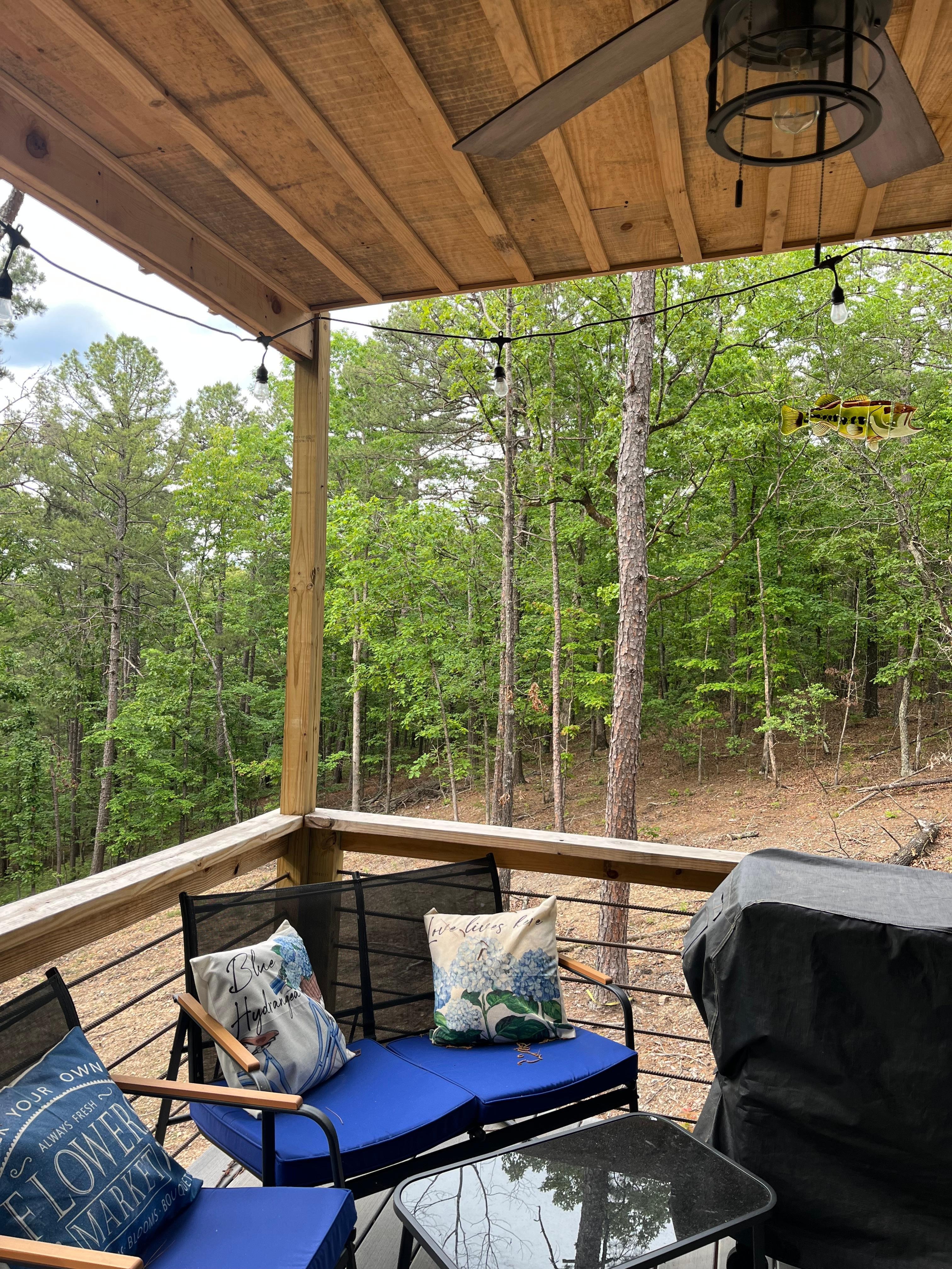 View from back deck. 